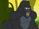 Chee chee the gorilla
