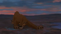 Zira avenging Scar