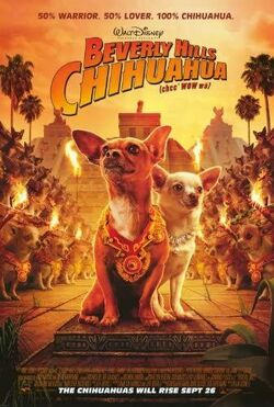 Beverly hills chihuahua