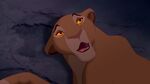 "Simba! You are alive?! How can that be?"