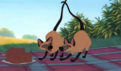 Si and Am in Lady and the Tramp II: Scamp's Adventure.