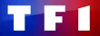 TF1 logo 2013