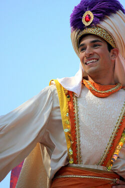 Disney Park Aladdin