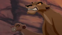 Zira and Vitani angry that Simba is escaping