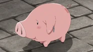 Hawk (The Seven Deadly Sins)