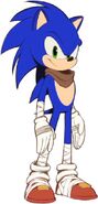 Sonic the Hedgehog