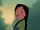 Fa Mulan/Gallery/Films and Television