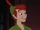 Peter Pan (character)
