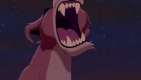 Zira roars angrily