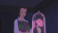 Belle and the Enchanted Rose