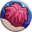 ANEMONEMONE