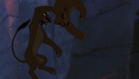 Kiara and Zira falling