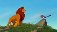 Lion-king-disneyscreencaps.com-1128