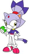 Blaze the Cat