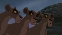 Outsiders turns good because they are convinced by Kovu and Kiara