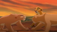 Kiara trying to stop Simba from banishing Kovu