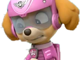 Skye (PAW Patrol)