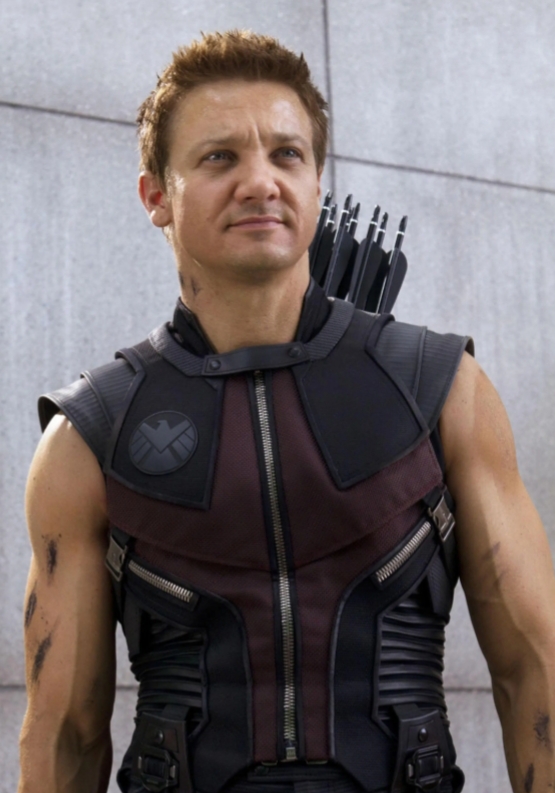 Hawkeye Disney Fanon Wiki Fandom