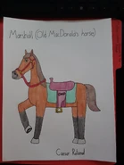 With a neigh-neigh here and a neigh-neigh there