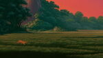 A field amid jungle