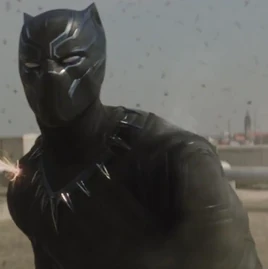 Profile - Black Panther