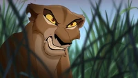 Zira watching Kovu interact with Kiara