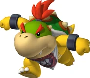 Bowser Jr.
