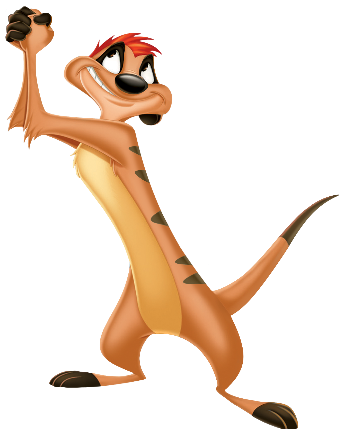 Timon, Disney Fanon Wiki