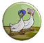 GOOSE CROSSING.png