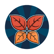 Beautiful Butterfly