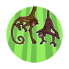 Monkeyin' Around