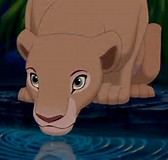 Nala as a adult