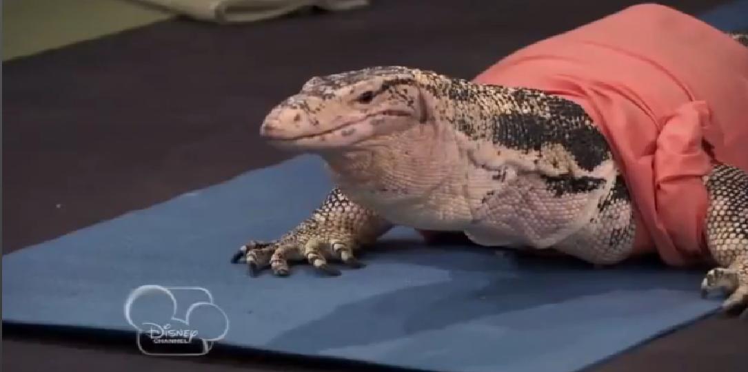 Frank | Jessie Wiki | Fandom