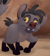 As a cub