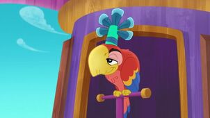 Wise old Parrot
