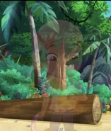 D8C07DAA-20EF-49FF-A7C1-C0966FF64C41.jpeg (333 KB)