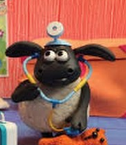 Doctor Timmy