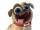 Rolly (Puppy Dog Pals)