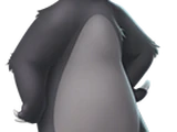 Baloo