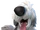 C-max.png