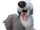 Cp-max.png