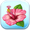 Hibiscus Flower Token