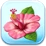 Hibiscus Flower Token