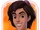 C-aladdin-wir.png