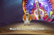 (Max level)