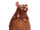 Cp-emile.png