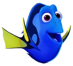 Dory