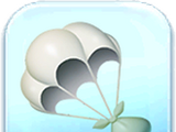 Delivery Bundle Token