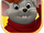 C-bernard-main.png