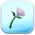 White Flower Token